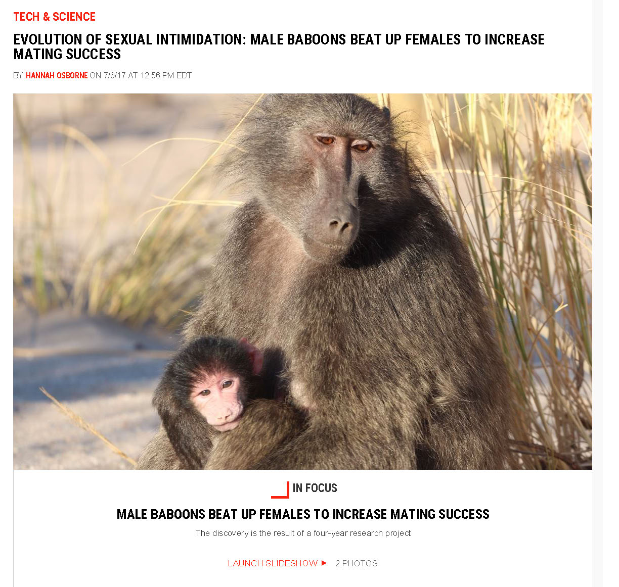 Image de l'article Evolution of Sexual Intimidation: Male Baboons Beat up Females to Increase Mating Success